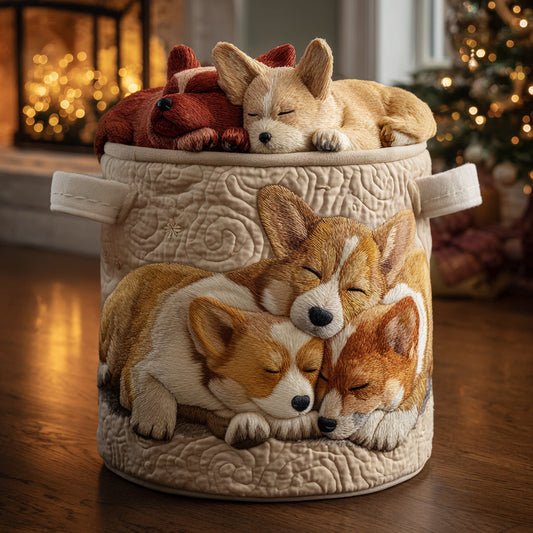 Koš na prádlo se sny o Corgi na dovolené